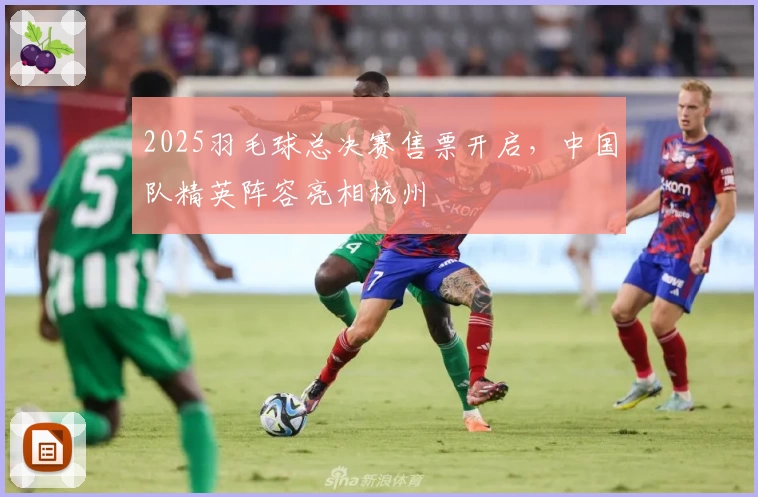2025羽毛球总决赛售票开启，中国队精英阵容亮相杭州