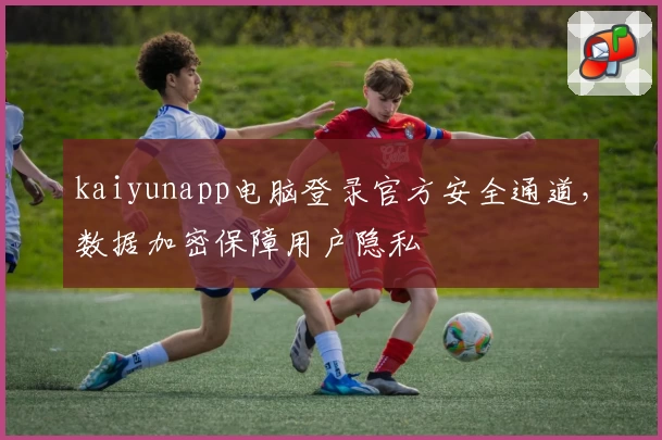 kaiyunapp电脑登录官方安全通道，数据加密保障用户隐私
